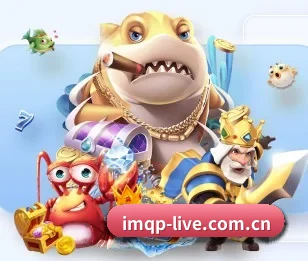 im棋牌的成长历程与未来展望